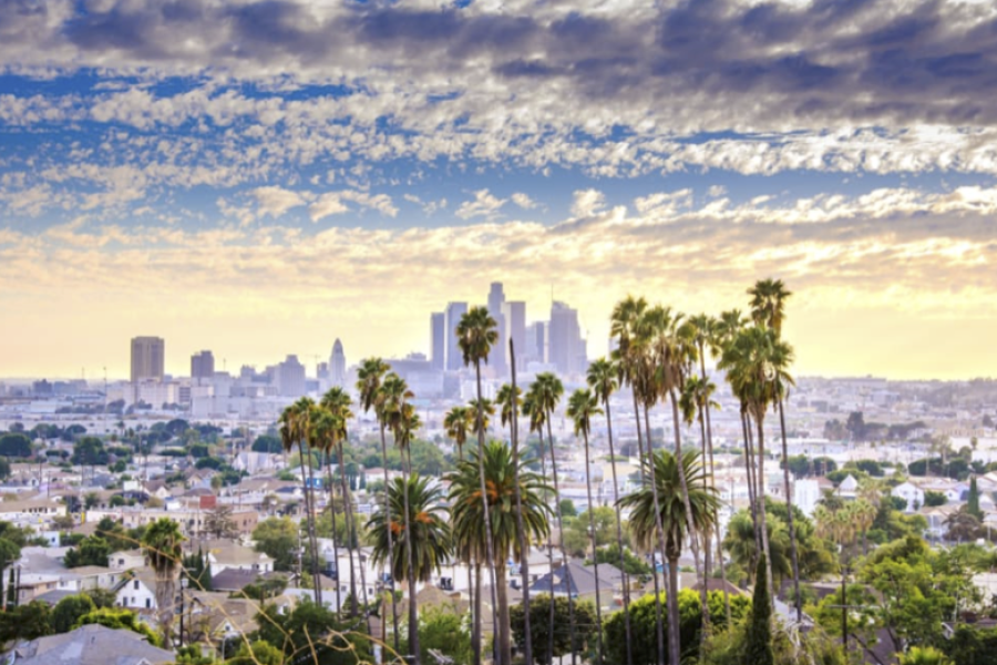 LA skyline. Palm trees in foreground. Blue sky with white clouds in background.